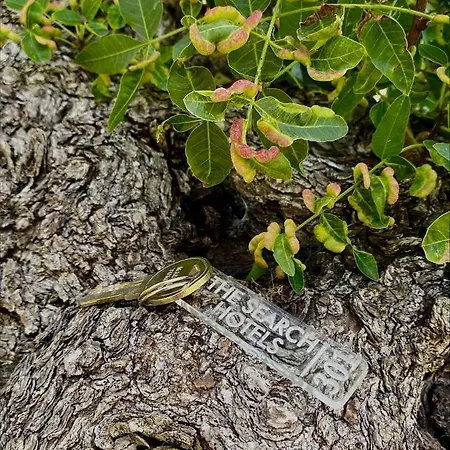 The Search 4* Bodrum